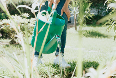 GARDEN & OUTDOOR